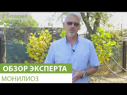 Видео: Монилиоз