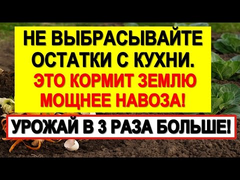 Видео: Не выбрасывайте остатки с кухни это кормит землю мощнее навоза! Урожай в 3 раза больше!