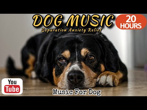 Видео: 20 часов любимой музыки собак🐶💖Музыка для сна собак 🐶🎵 Музыка для снятия беспокойства при разлуке🎵