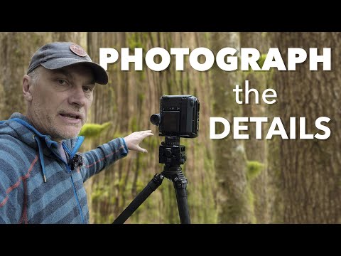 Видео: Как НАБЛЮДАТЬ и ФОТОГРАФИРОВАТЬ детали в ПРИРОДЕ