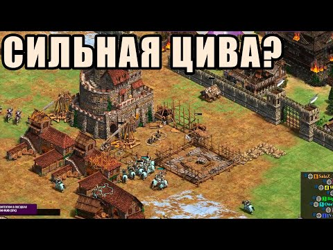 Видео: ВОТ ПОЧЕМУ ПОЛЯКИ ТОП | Винч с командой в Age of Empires 2