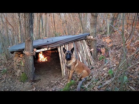 Видео: Навыки Бушкрафта: Камин в убежище из камня и дерева, Зимний кемпинг.