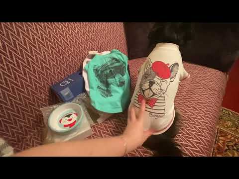 Видео: WILDBERRIES. Распаковка посылки 📦 для собачек…