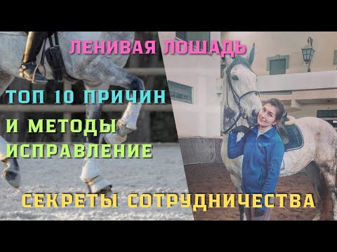 Видео: ЕЗДА НА ЛЕНИВОЙ ЛОШАДИ. КАК СДЕЛАТЬ ЛОШАДЬ БОЛЕЕ ЭНЕРГИЧНОЙ и АКТИВНОЙ.