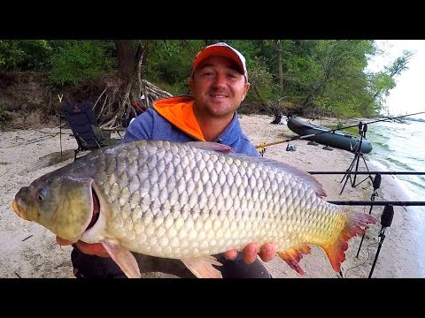 Видео: За КРУПНЫМ САЗАНОМ в ДИКИЕ МЕСТА!