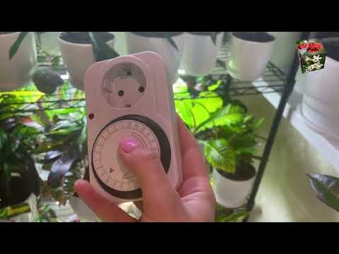 Видео: ОСВЕЩЕНИЕ ДЛЯ КРОТОНОВ: нюансы при выборе ламп для подсветки и досветки.