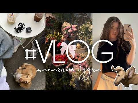 Видео: VLOG#2 ТИПИЧНЫЕ БУДНИ друзья, кукинг, собаки...