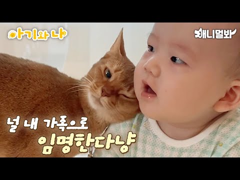 Видео: Самый молодой кот, хед-баунтинг, проверенный дворецкий