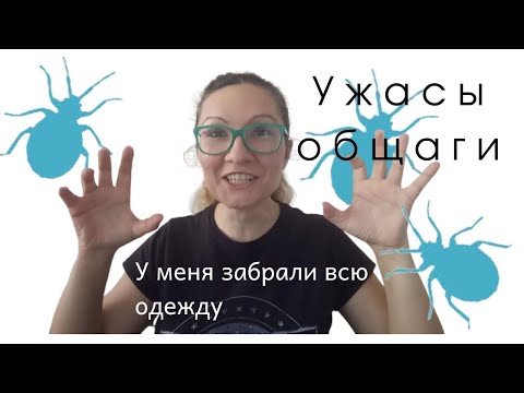 Видео: Истории из общаги: как я боролась с клопами
