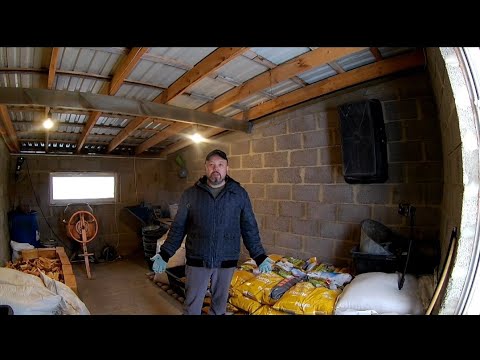 Видео: Какого бройлера покупать и чем кормить!?