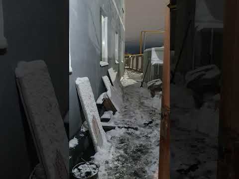 Видео: 7 ноября 2025 г.