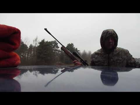 Видео: Хатсан 125 6.35мм. Стрельба на 200м! Маленькая победа)))