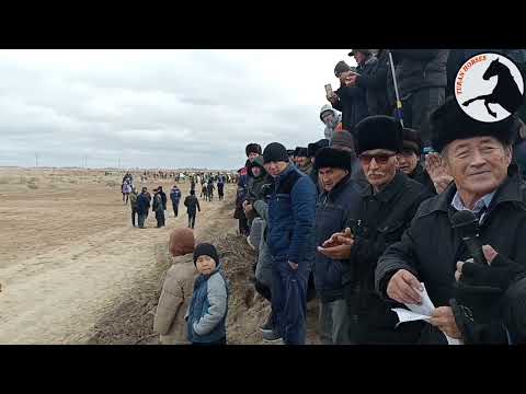 Видео: 11-01-2024 Шоманайда Аразгелді келін той
