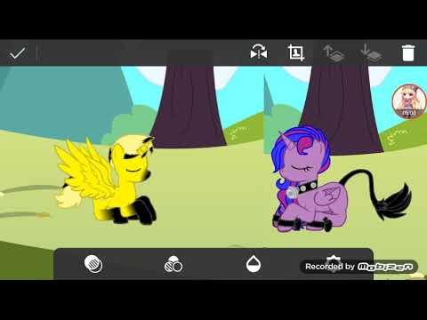 Видео: любовь