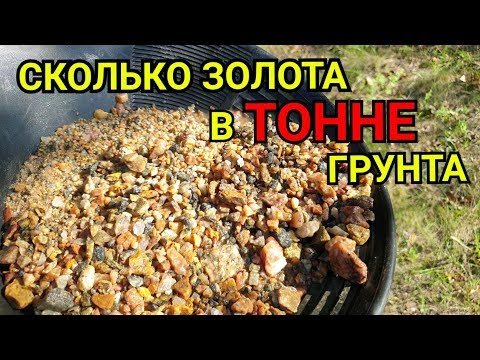 Видео: СКОЛЬКО ЗОЛОТА В ТОННЕ ГРУНТА