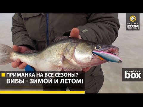 Видео: Приманка на все сезоны? Вибы - зимой и летом! Anglers Box
