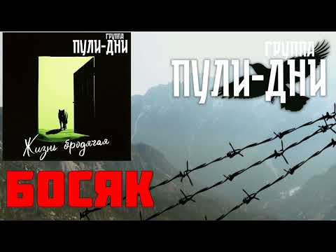 Видео: Группа Пули Дни   Жизнь бродячая