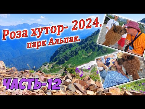 Видео: Роза Хутор 2024. Парк Альпак. Часть-12