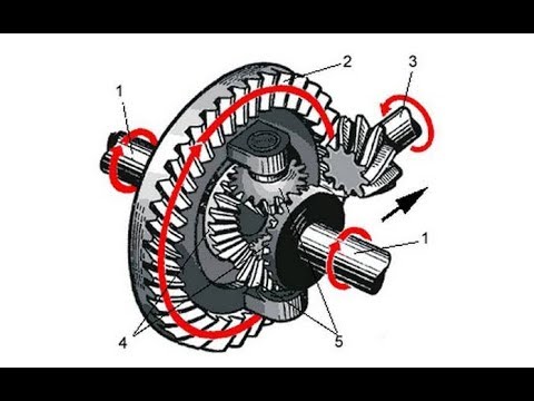 Видео: Разбираем главную передачу SsangYong(istana)