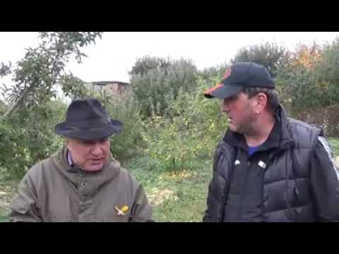 Видео: О здоровом питании и не только. Амур БАКИЕВ и Артур КЕШЕВ / Кабардино-Балкария, с.п. Кенже