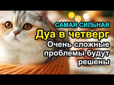 Видео: самый сильный Дуа в четверг ДАЕТ УВАЖЕНИЕ, БОГАТСТВО, РИЗК, ДЕНЬГИ, УСПЕХ И СЧАСТЬЕ! VIRSIA TV