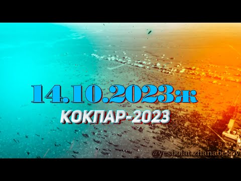 Видео: Жилысбек Шерімов атаны еске алу ас көкпар 14.10.2023жыл  Жамбыл облысы Талас ауданы Кеңес ауылы