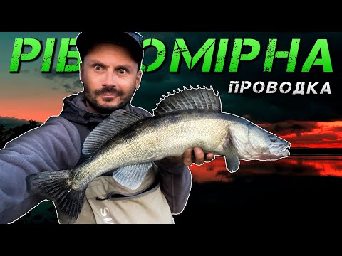 Видео: ✅Ловля Судака В Києві На Дніпрі✅