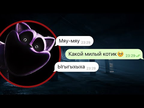 Видео: кот дремот заманил меня на заброшку