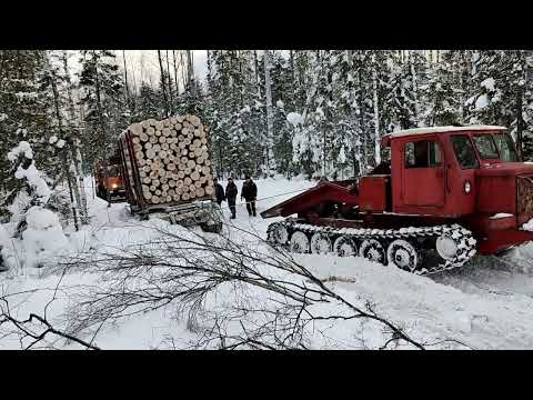 Видео: ТТ-4 Сила и мощь из СССР вытаскивает лесовоз 40 тонн.