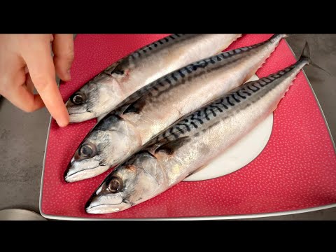 Видео: СБОРНИК ЛУЧШИХ РЕЦЕПТОВ ЗАСОЛКИ СКУМБРИИ! СРАЗУ ЧЕТЫРЕ РЕЦЕПТА! ЭТИ ВИДЕО УЖЕ ПОСМОТРЕЛИ МИЛЛИОНЫ!