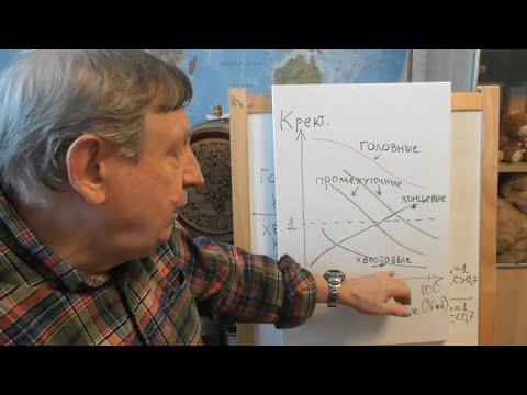 Видео: Популярная физическая химия для винокуров. Вторая беседа.