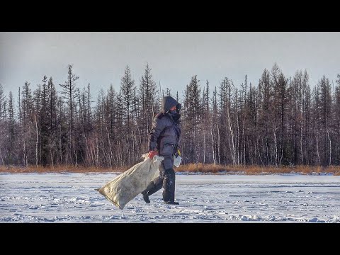 Видео: МЕШКАМИ ПРУТ РЫБУ СО ЛЬДА!!! ЭТО БЕЗУМИЕ! Первый лёд 2024 2025.