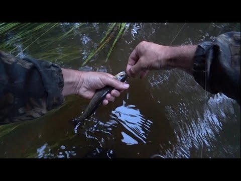 Видео: Малые реки . Ультралайт на малой реке. Ловля форели на вертушки