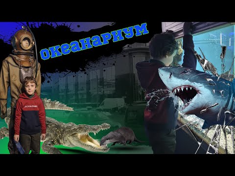 Видео: Петербургский океанариум! Планета нептун. Хочу крокодила! 2023 год