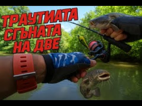 Видео: ОБИКОЛИХ 30 КМ УЧАСТЪК ОТ РЕКАТА... РЕЗУЛТАТЪТ СОМЧЕ СЛЕД СОМЧЕ! ТЕГАВ ЮЛСКИ  ИЗЛТЕТ С ДОБРИ РИБИ !