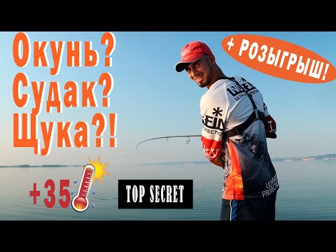 Видео: Поиски хищника в жару 35°С Тест Crazy Fish Arion до 45г по крупной рыбе! Рыбалка на Волге +РОЗЫГРЫШ!