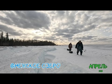 Видео: Крайняя зимняя рыбалка сезона Онежское озеро