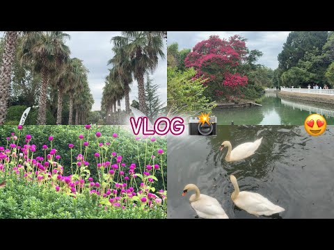 Видео: VLOG:ПАРК ЮЖНЫЕ КУЛЬТУРЫ В АДЛЕРЕ|ОСЕНЬ В АДЛЕРЕ 2025