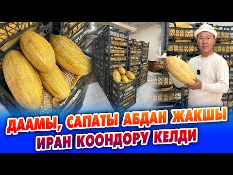 Видео: ИРАНдан КЫРГЫЗСТАНГА өтө даамдуу КООНДОР келди ~ Сапаты абдан жакшы. Бишкекте 1 кг - 50 сомдон
