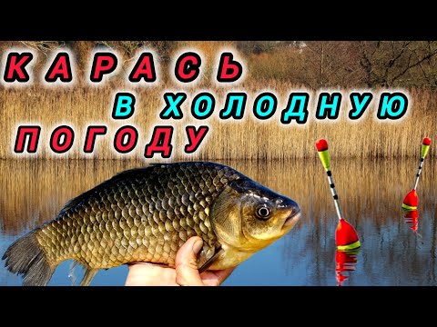 Видео: Снова на РЫБАЛКЕ, весенний КАРАСЬ и Подлещик! Рыбалка на поплавок 2024.