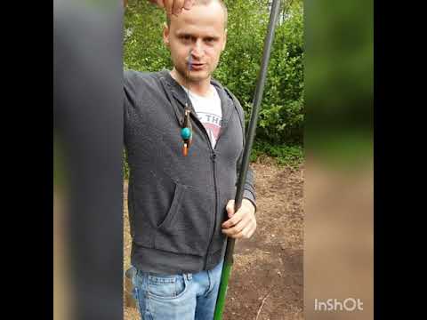 Видео: Кормление диких ужей.