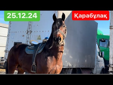 Видео: 25.12.24 Жылқы бағасы 1-бөлім. Қарабұлақ мал базары