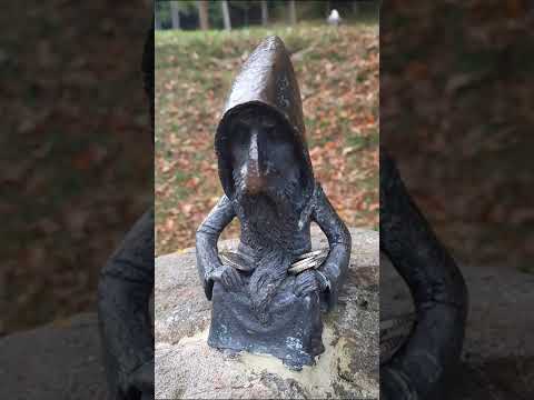 Видео: Вони охороняють Воєводине. Закарпаття.