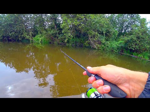 Видео: БЛЕСНА или ВОБЛЕР - ЧТО ВЫБРАТЬ и где применить для лучшего результата! ОТЛИЧНАЯ РЫБАЛКА НА РЕКЕ!