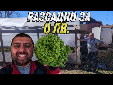 Видео: ЖИВОТ НА СЕЛО: КАК НАПРАВИХ ДЪРВЕНО РАЗСАДНО С ПОДРЪЧНИ МАТЕРИАЛИ? 🏡🌱