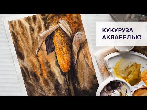 Видео: Кукурузное поле / Cornfield