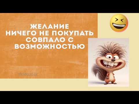 Видео: О повседневной жизни и не только... с юмором!