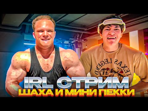 Видео: IRL СТРИМ С ТРЕНАЖЕРКИ ШАХА И МИНИ ПЕККИ | ШАХ И МИНИ ПЕККА ТРЕНИРУЮТСЯ В ЗАЛЕ