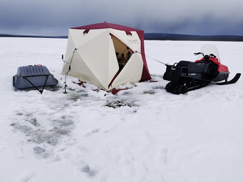 Видео: Ловля сига на Имандре / Ice fishing on Imandra lake