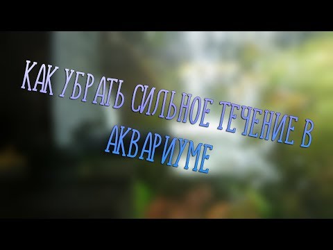 Видео: Как убрать сильное течение в аквариуме